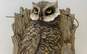 Unbranded Owl Home Décor image number 4