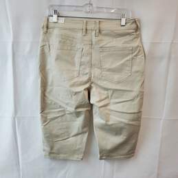 Boracay High Rise Boardwalk Shorts Size 8 Tags Attached alternative image