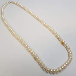 10K Gold Faux Pearl Necklace 36.2g