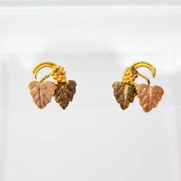 12K Yellow & Rose Gold Grapes & Etched Leaves Post Earrings Variety 2.7g alternative image