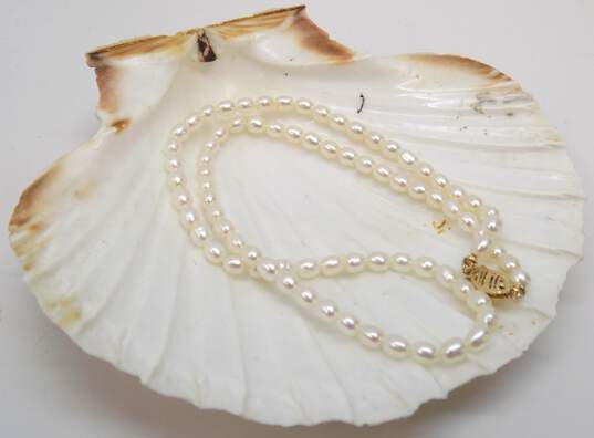 Romantic 14K Yellow Gold Clasp Pearl Necklace 9.3g image number 6