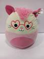 Lot of 5 Assorted Squishmallows image number 4