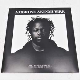 Ambrose Akinmusire On The Tender Spot Of Every Calloused Moment Vinyl Record