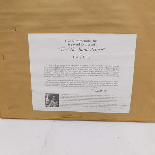 Artist Harry Antis Signed 'Woodland Prince' Deer Limited Edition Print & Stamp image number 7
