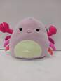 Squishmallows Cailey the Crab NWT image number 1