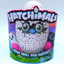 Sealed Hatchimals Mystery 1 of 4 Fluffy Interactive Characters From Cloud Cove