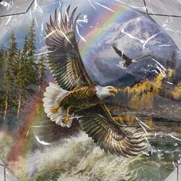 Kinnex Native American Style Dream Catcher Eagle & Feathers 24" alternative image