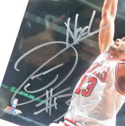 Joakim Noah Autographed 8x10 Photo Chicago Bulls alternative image