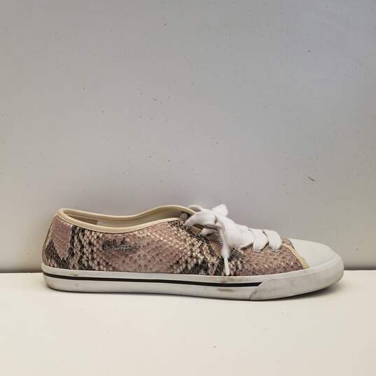 Cole Hahn With Nike Air Snake Pattern Size 8B Women's Low Top Converse Style image number 1