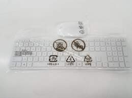 HP Keyboard and Mouse Untested