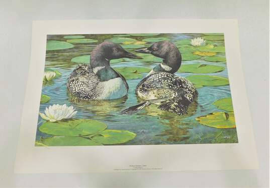 Brian Jarvi Signed and Numbered  Print  Northern  Romance Loons image number 1