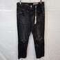 AG Adriano Goldschmied The Isabelle X High-Rise Straight Crop Angled Pocket Ag-ed Denim Jeans Adult Size 27 image number 1