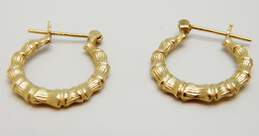 14K Yellow Gold Bamboo Textured Hoop Earrings 1.3g alternative image