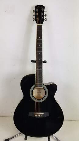 Karok Acoustic Guitar