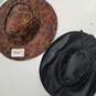 Bundle of 2 Assorted Western Hats image number 5