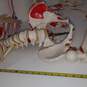 Life Sized 1:1 Human Skeleton Anatomical Model for Parts/Repair image number 5