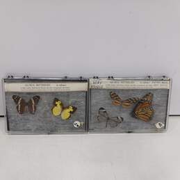 Set Of 5 All-Real Butterflies In Cases For Display