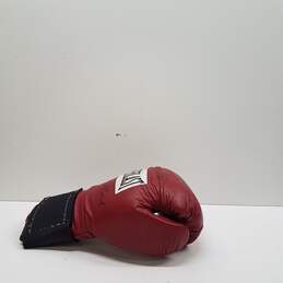 Everlast Boxing Glove Signed by Freddie Roach + Manny Pacquiao alternative image