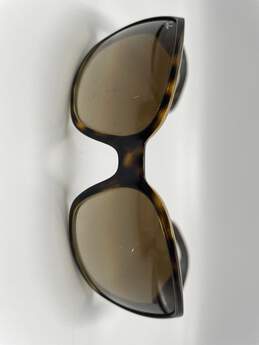 Mens RB 4068 Brown Polycarbonate Butterfly Habana Sunglasses J-0557803-E
