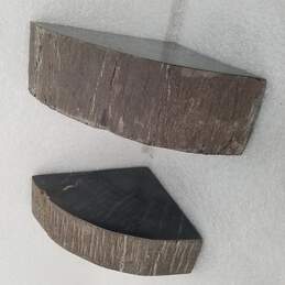 Half Slab Petrified Wood Slice w/ Bark Bookends