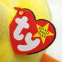 Assorted Ty Beanie Babies Bundle Lot of 5 image number 7