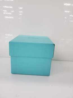 GENUINE TIFFANY & CO. CRYSTAL GLASS FROSTED BOW RIBBON BOX