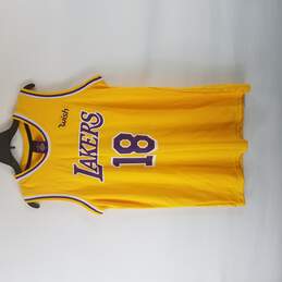 Lakers Men Yellow Purple Wish 19 Jersey XL