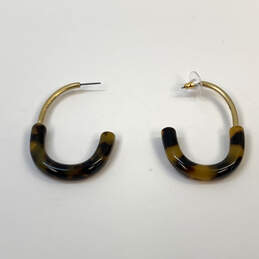 Designer J. Crew Gold-Tone Lined Tortoise Resin Pushback Hoop Earrings alternative image