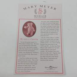 Mary Meyer Mohair Collectable Bear IOB alternative image