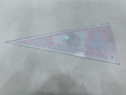 Chicago Blackhawks 2010 Stanley Cup Champs & Chicago White Sox 2005 World Series Pennants image number 4