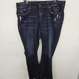 Silver Jeans Co Distressed Blue Jeans