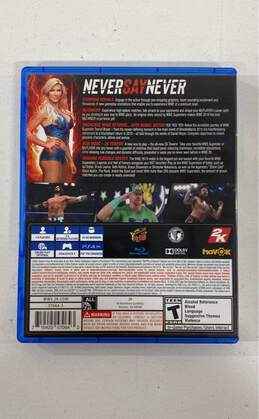 WWE 2K19 - PlayStation 4 (CIB) alternative image