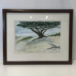 Cypress Tree at the Coast Watercolor Signed. Contemporary Matted & Framed