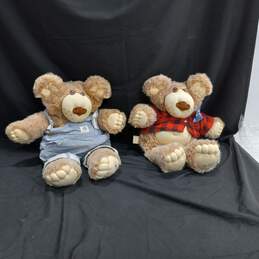 2 Vintage Furskins Plush Bears-193-1984