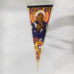 WCW Ric Nature Boy Flair Wrestling Pennant Flag