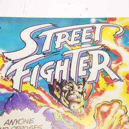 Malibu Street Fighter #1 Comic Book alternative image