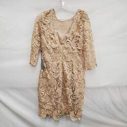 NWT Adrianna Papell WM's Beige Crochet Lace 3 Quarter Sleeve Dress Size 4 alternative image