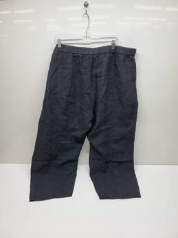 Eileen Fisher Plus Size Capri Pants ~44"w alternative image