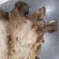 Large Piece of Deer Fur Pelt image number 4