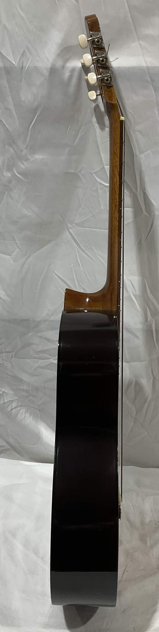 Dixon Model 350 Acoustic Guitar image number 4