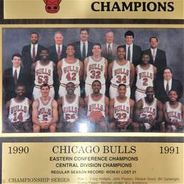 Chicago Bulls 25th Anniversary NBA 1991 World Championship Plaque Team Photo alternative image