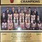 Chicago Bulls 25th Anniversary NBA 1991 World Championship Plaque Team Photo image number 2