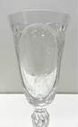 Webb Corbett Silver Wedding Queen Elizabeth Crystal Wine Glass image number 5
