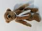 Bearly There 'Zeke' Plush Bear w. Tag image number 1