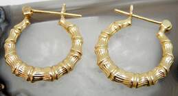 14K Yellow Gold Bamboo Textured Hoop Earrings 1.3g