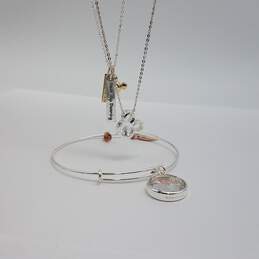Disney Silver Tone Rose Gold/Gold Tone 2 Charm Bracelet & Pendant Necklace Bundle 3pcs w/Box19.0g