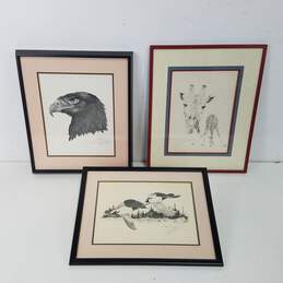 Assorted  Wildlife Artwork  Original / Prints  Lot of 3