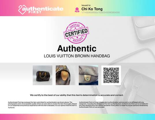 Louis Vuitton Brown Handbag image number 6