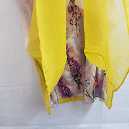HD In Paris trapeze floral dip dye midi dress 14 nwt