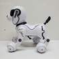 Top Race TR-P5 Remote Control Robot Dog , Interactive & Smart  Dog only UNTESTED image number 2
